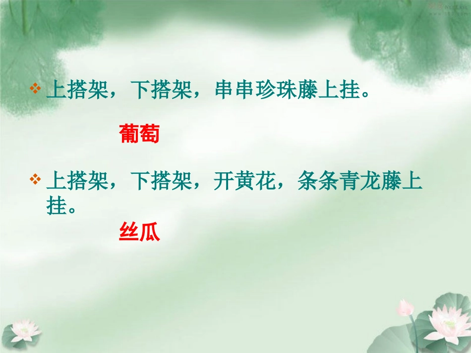《爬山虎的脚》PPT_第1页