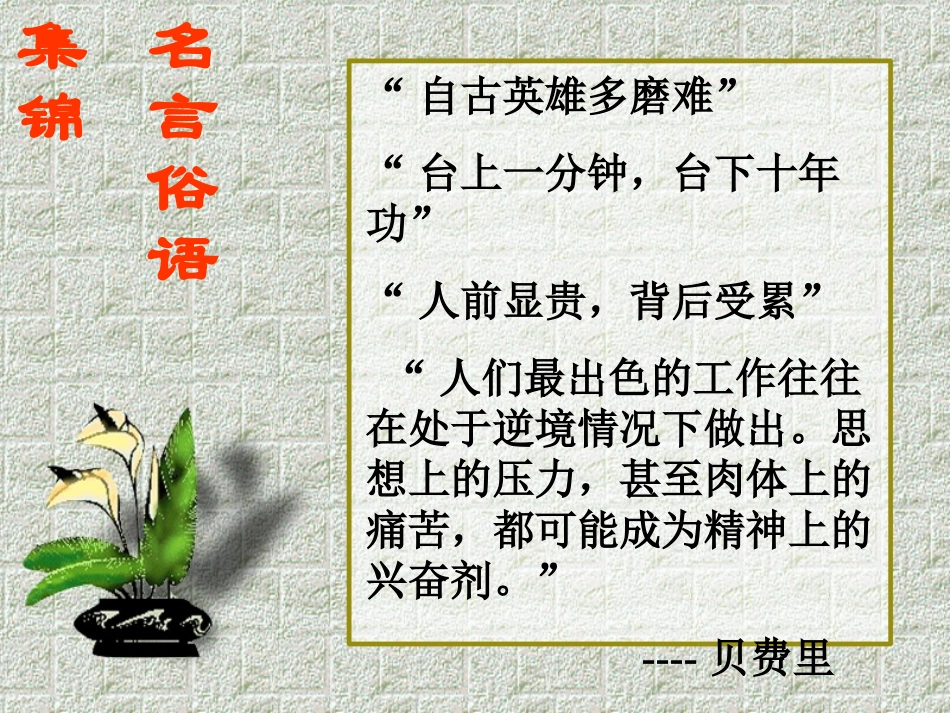 《我打败了男子汉》参考课件1_第2页