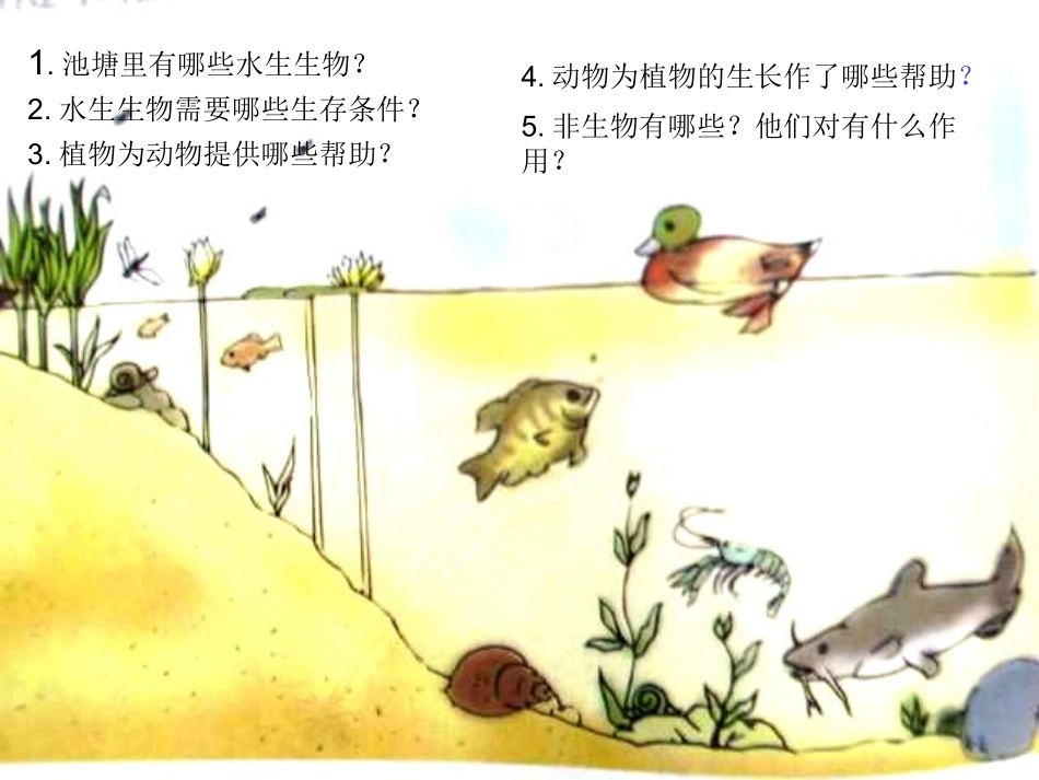 《做一个生态瓶》ppt课件_第2页