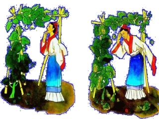 《我要的是葫芦》课件