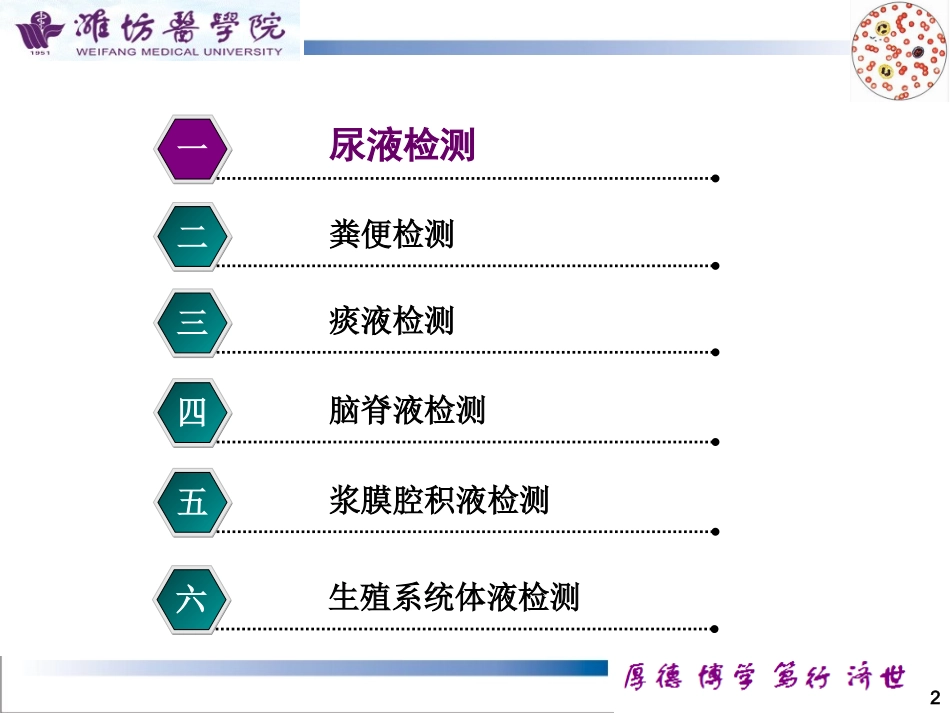 [诊断学] 尿液检测_第2页