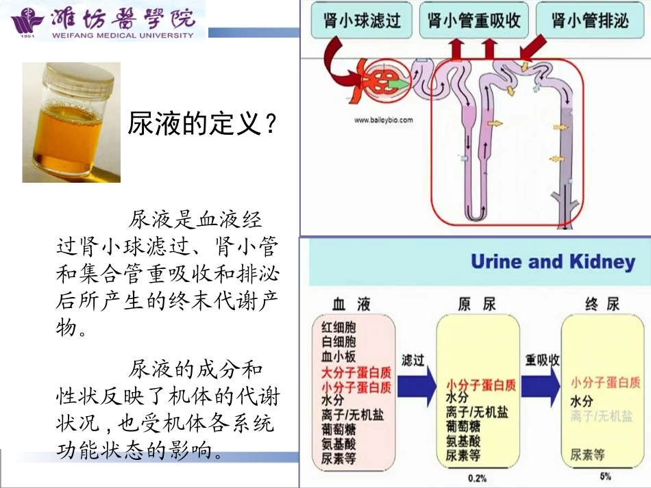 [诊断学] 尿液检测_第3页