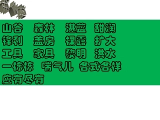 一个小村庄的故事2
