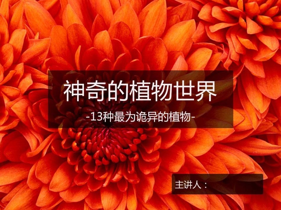 13种诡异的植物_第1页