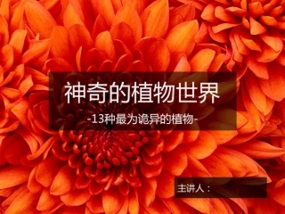 13种诡异的植物
