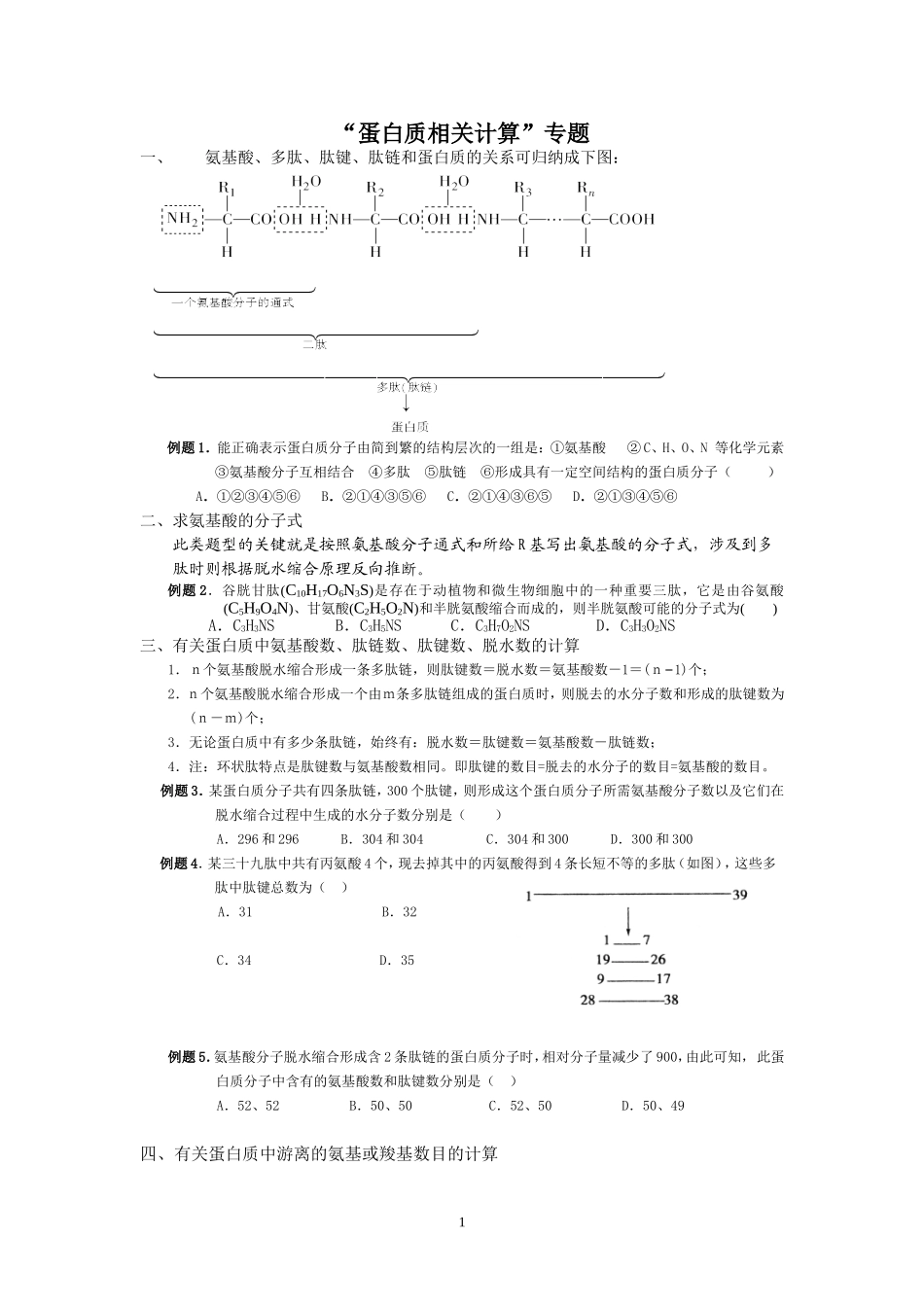 “蛋白质相关计算”专题_第1页