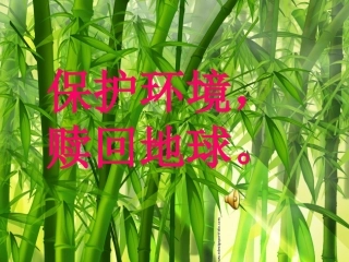 保护环境，从我做起