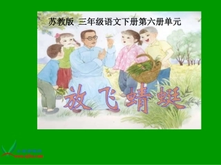 《放飞蜻蜓》PPT课件