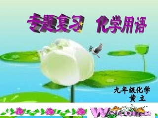 专题复习-化学用语