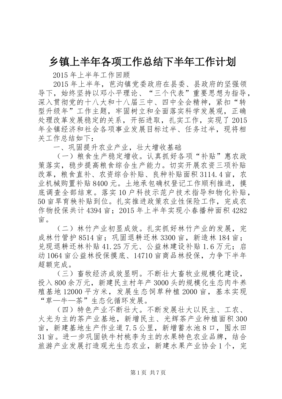 乡镇上半年各项工作总结下半年工作计划_第1页