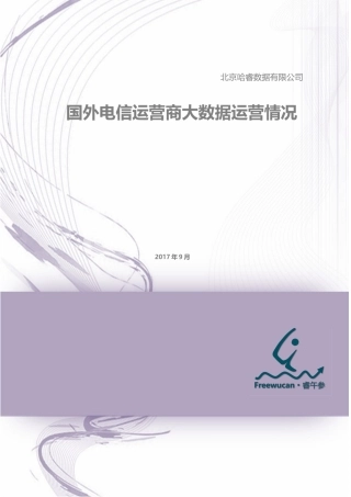 【国外电信运营商大数据运营情况