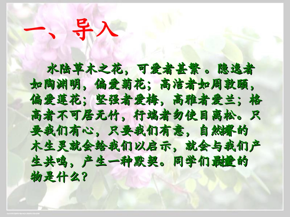 《窗前的树》优秀课件_第2页