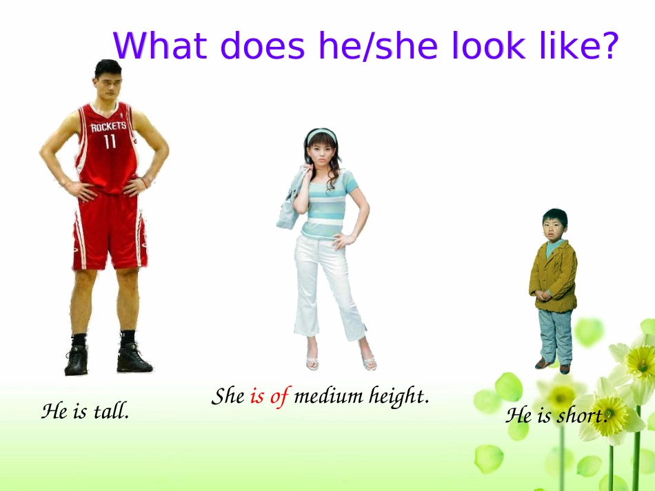 七年级英语（下）Whatdoeshelooklike课件_第3页