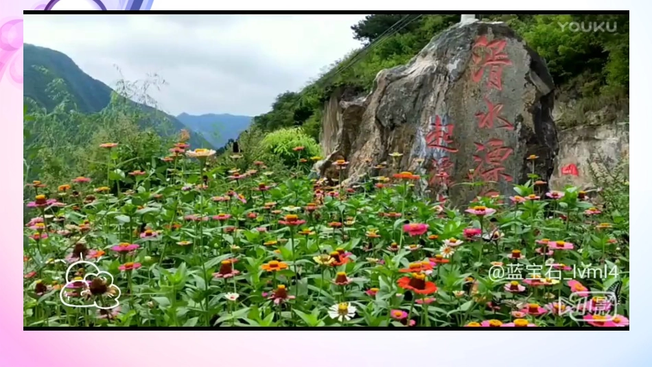 5.植物是“活”的吗_第3页