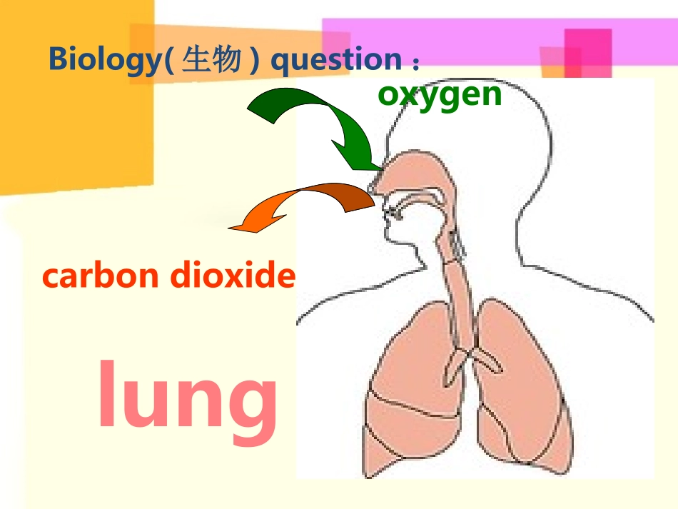 七年级下册Unit4Morepractic_第2页