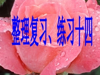 新课标五年级简易方程整理复习和练习十四