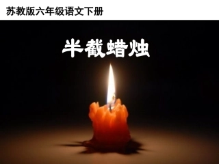 半截蜡烛第二课时