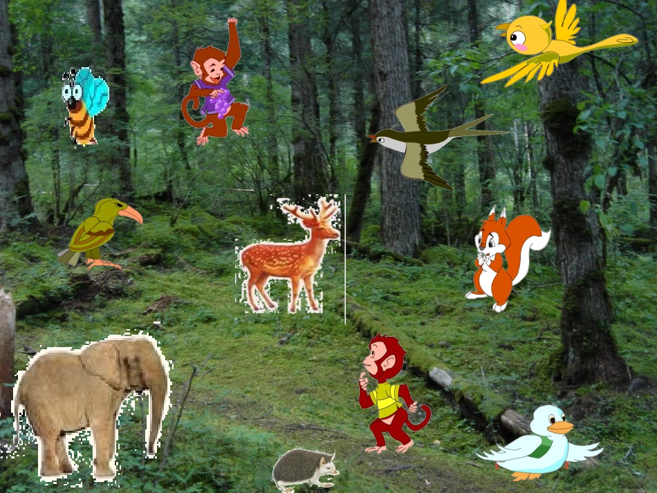 世上最美的是什么_第2页