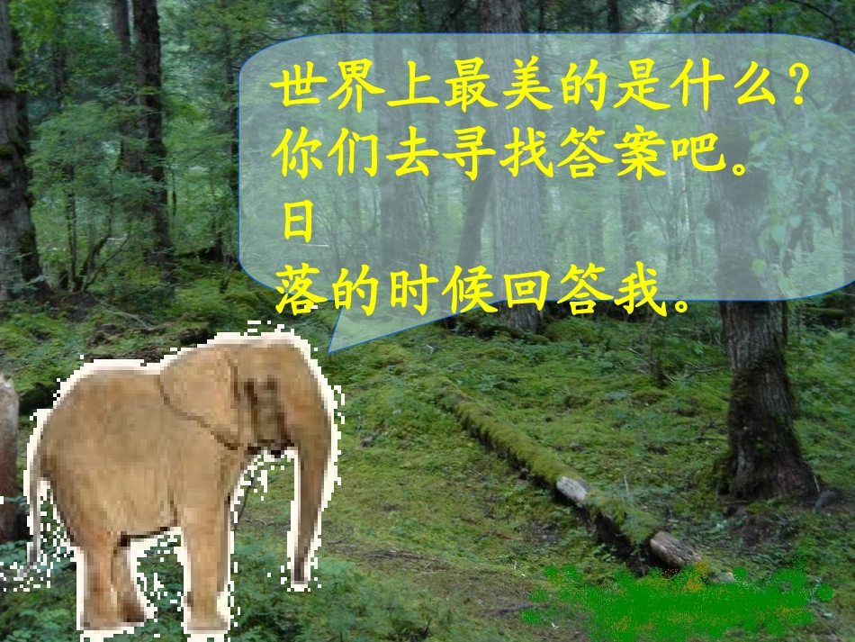 世上最美的是什么_第3页