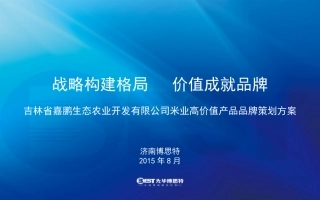 1嘉鹏大米品牌策划方案 (NXPowerLite)