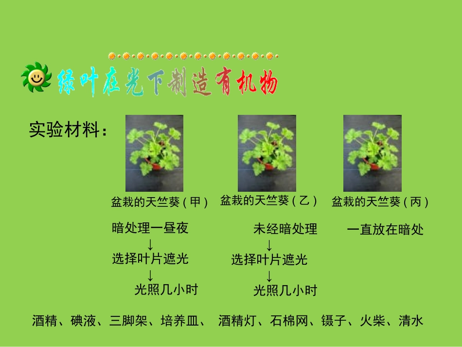 《绿色植物是生物圈中有机物的制造者》_第3页