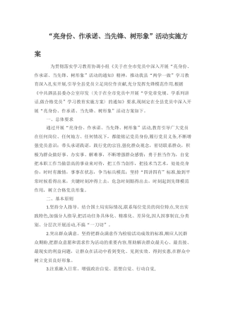 “亮身份、作承诺、当先锋、树形象”活动实施方案