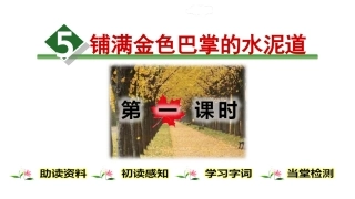 5.铺满金色巴掌的水泥道.)
