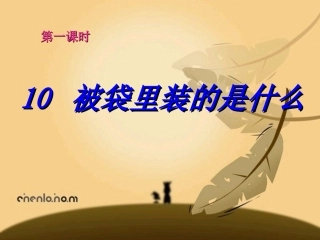 《被袋里装的是什么》