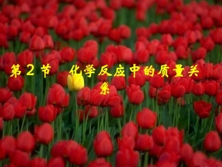 4.2、化学反应中的质量关系(沪教版)