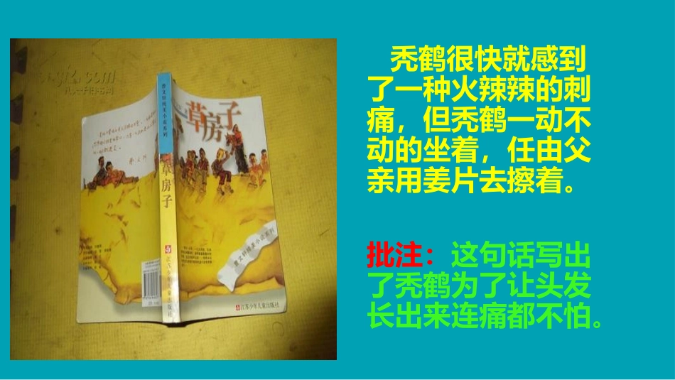 《草房子》语句赏析 ppt_第3页