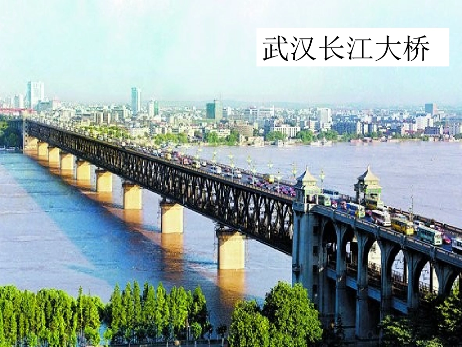 20_皮巧根桥_课件_第3页