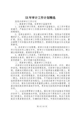 XX年审计工作计划精选