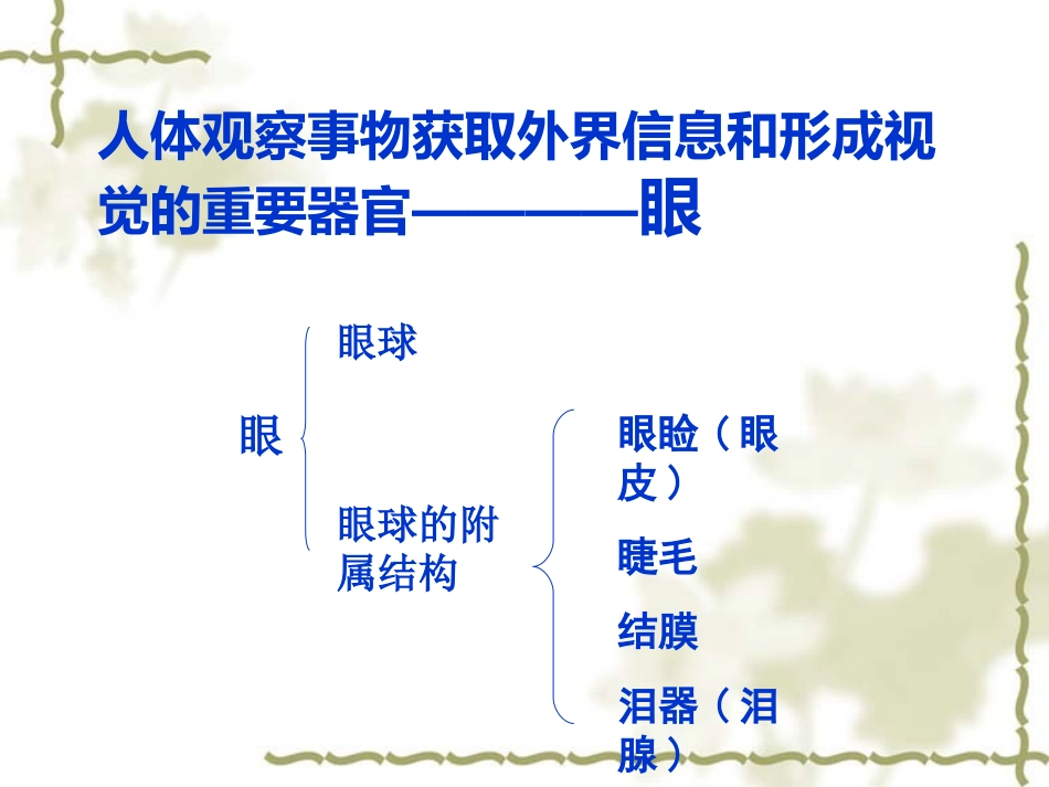 人体对信息的感知_第2页