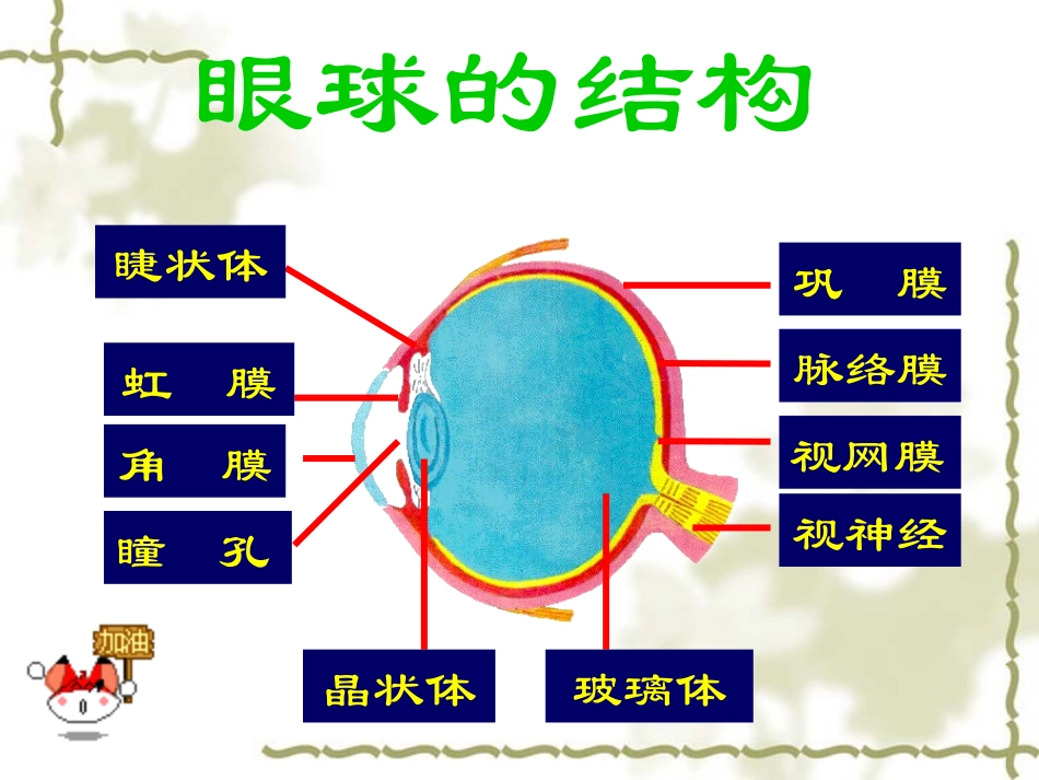 人体对信息的感知_第3页