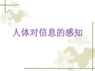 人体对信息的感知