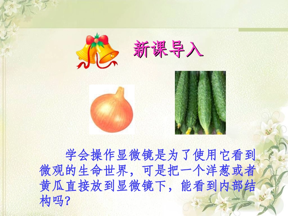 《观察植物细胞》课件_第1页