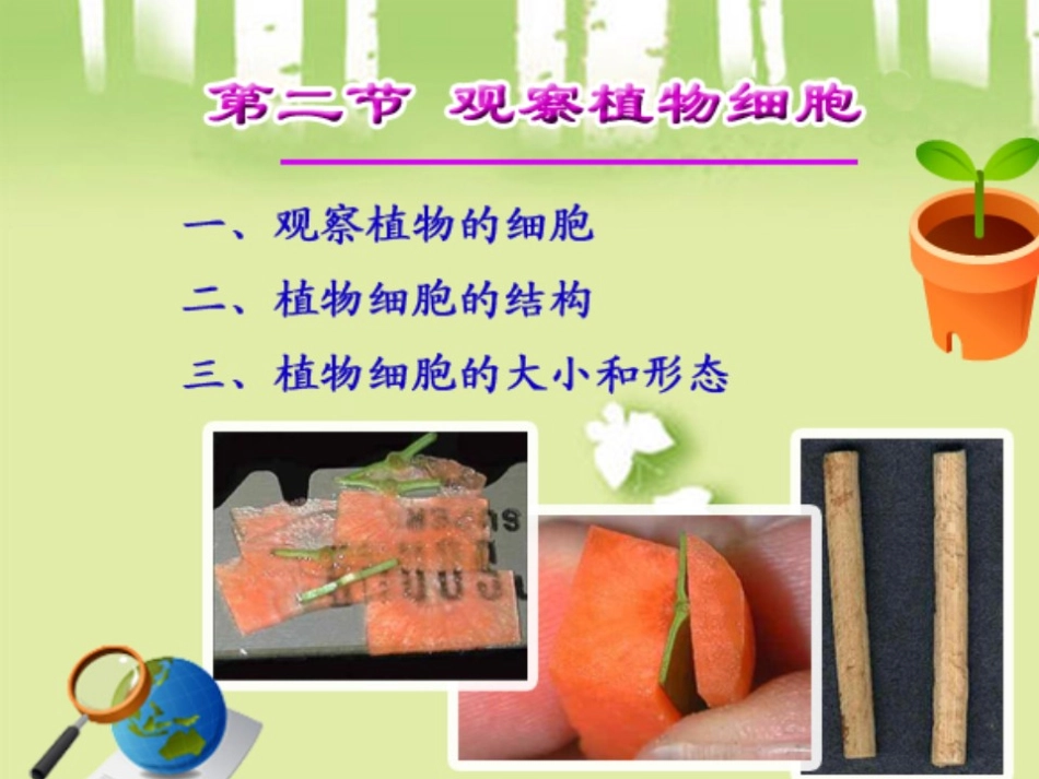 《观察植物细胞》课件_第2页