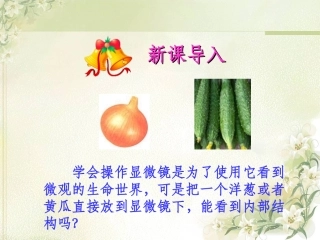《观察植物细胞》课件