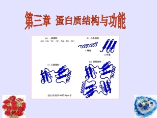 3 蛋白质空间结构与功能