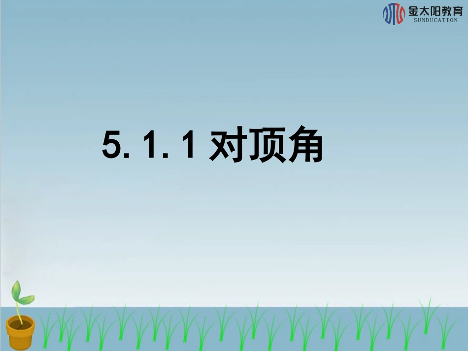 《对顶角》导学案_第2页