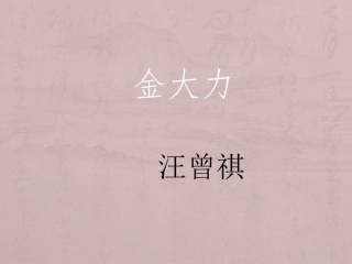 2金大力 演示文稿