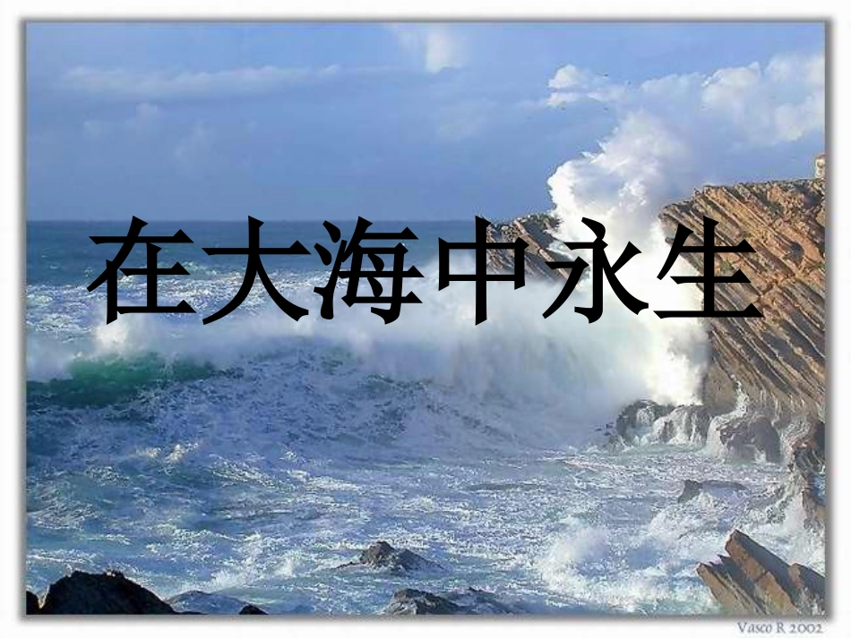 在大海中永生 (2)_第1页