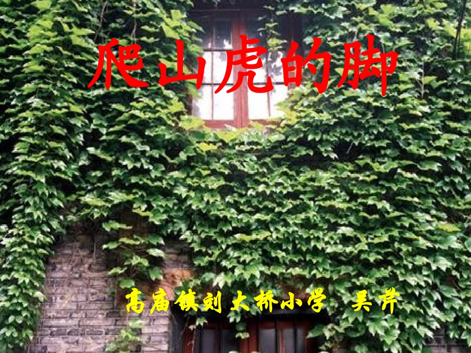 《爬山虎的脚》公开课课件_第1页