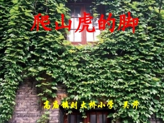 《爬山虎的脚》公开课课件