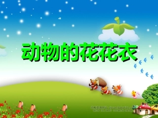 动物的花花衣