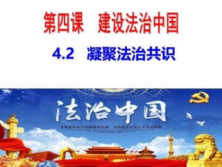 4.2 凝聚法治共识
