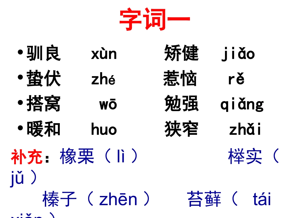 《松鼠》布丰_第3页