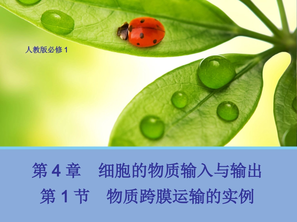 4.1 物质跨膜运输的实例(二)_第1页