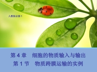 4.1 物质跨膜运输的实例(二)