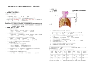 三合中学九年级生物期中试题：答案